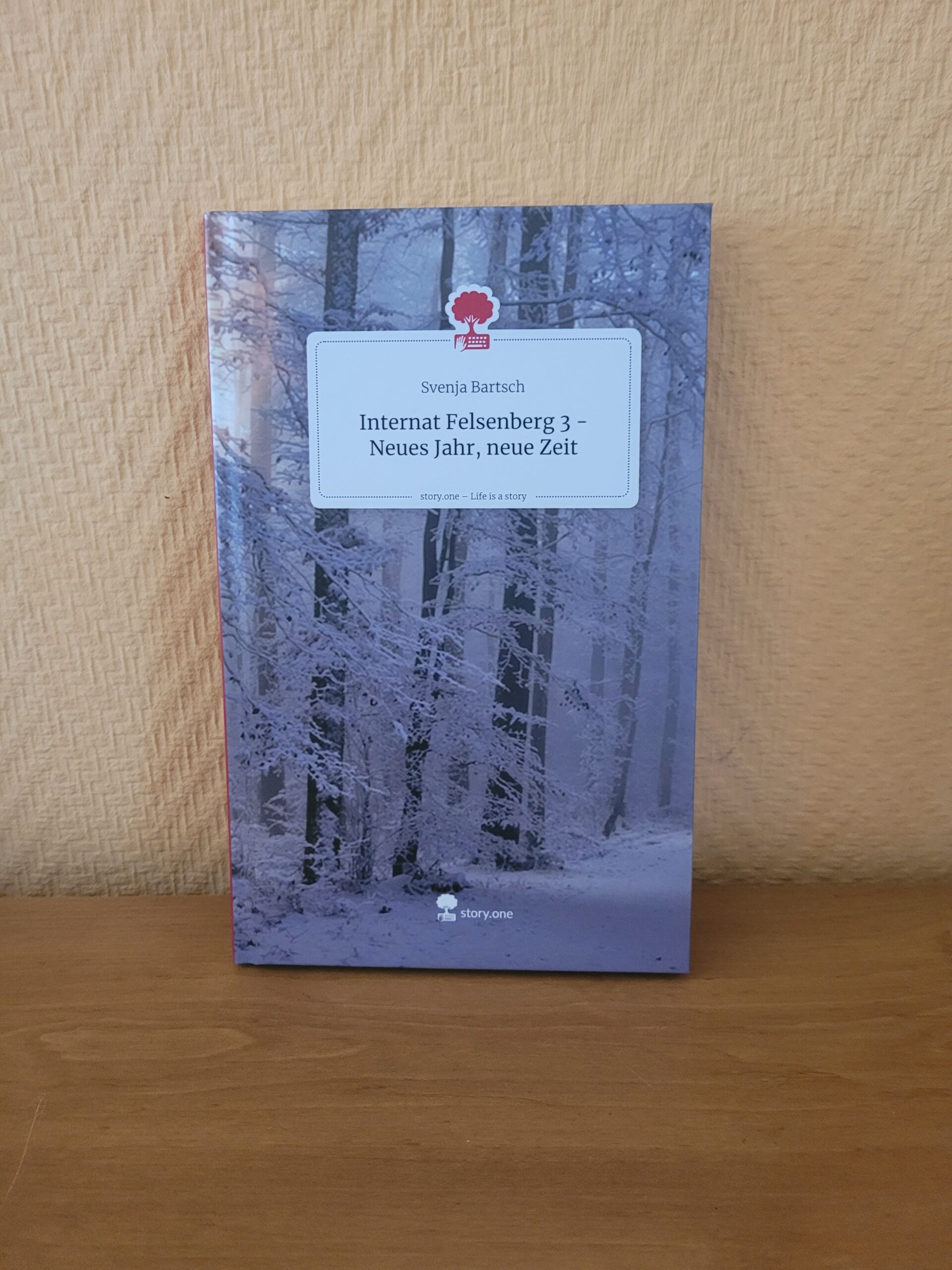 Internat Felsenberg 3 - Neues Jahr, neue Zeit